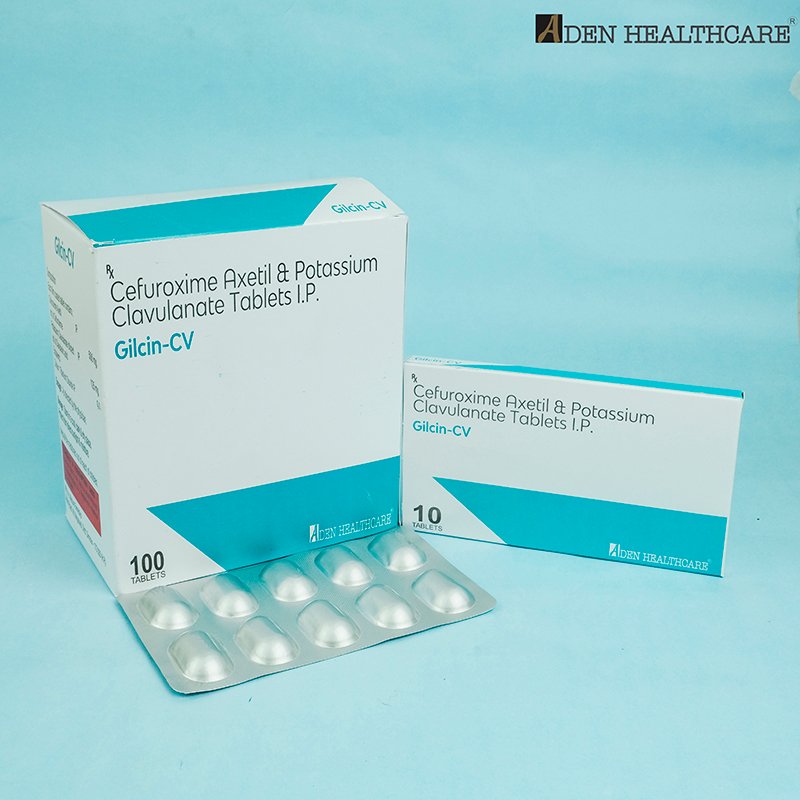 GILCIN-CV