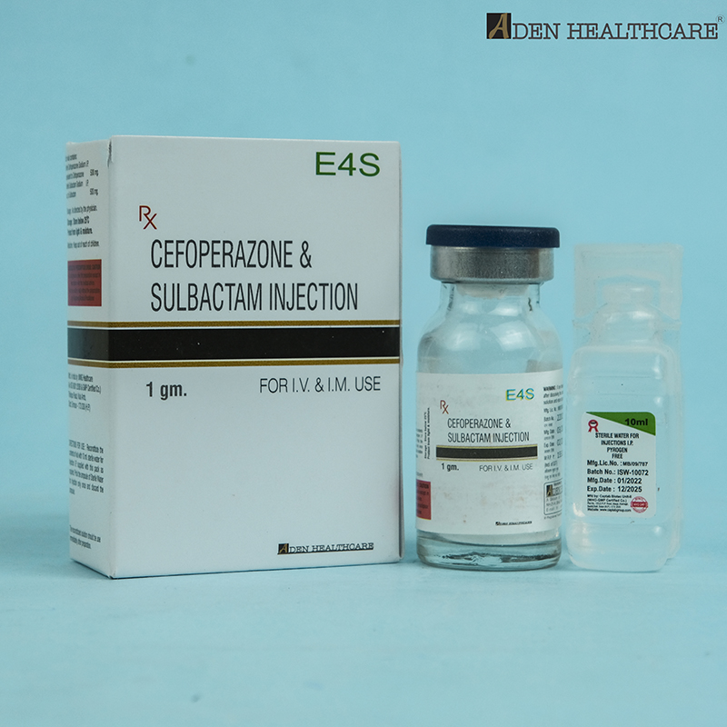 E4S